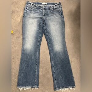 BKE Women's Boot Cut Jeans in Faded Blue